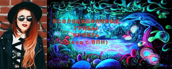 мяу мяу мука Няндома
