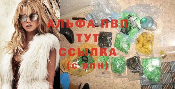 ПСИЛОЦИБИНОВЫЕ ГРИБЫ Новодвинск