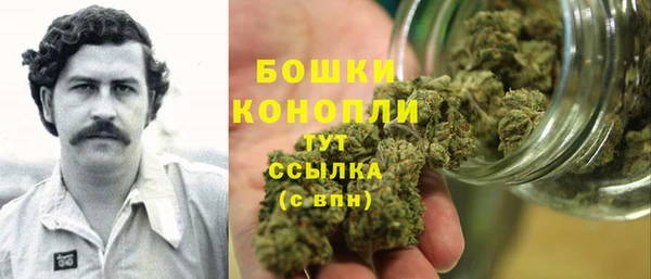 ALPHA PVP Новозыбков