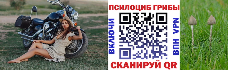 гидра рабочий сайт  Кумертау  Псилоцибиновые грибы Cubensis 