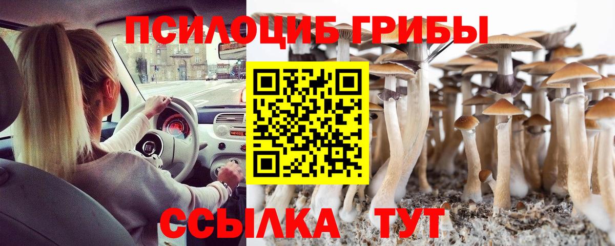Кумертау  Псилоцибиновые грибы прущие грибы  Вход с VPN  Галлюциногенные грибы Psilocybine cubensis 