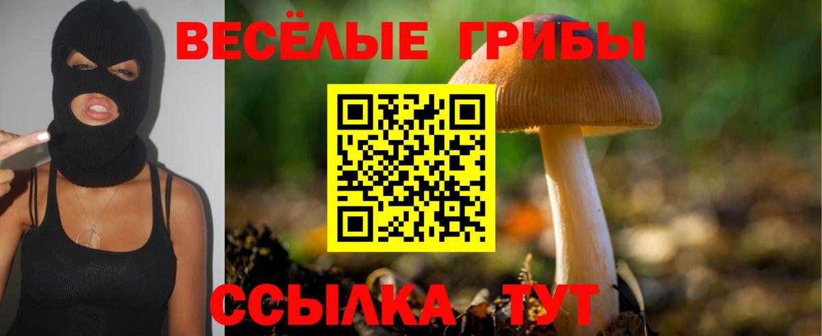 Псилоцибиновые грибы GOLDEN TEACHER  Кумертау 
