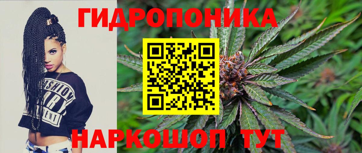 МАРИХУАНА сатива Кумертау